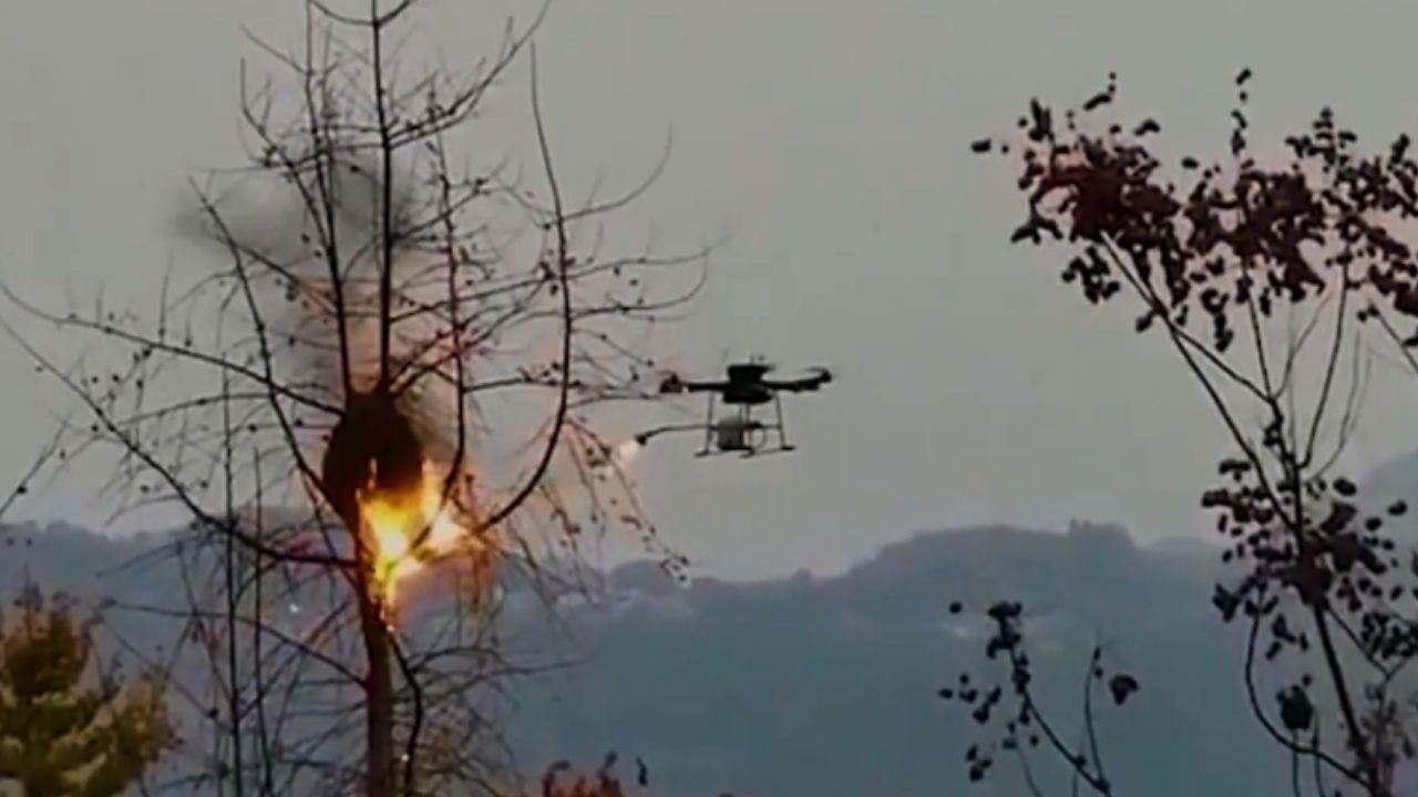 Chineses constroem drone lança-chamas para destruir ninhos de vespas assassinas