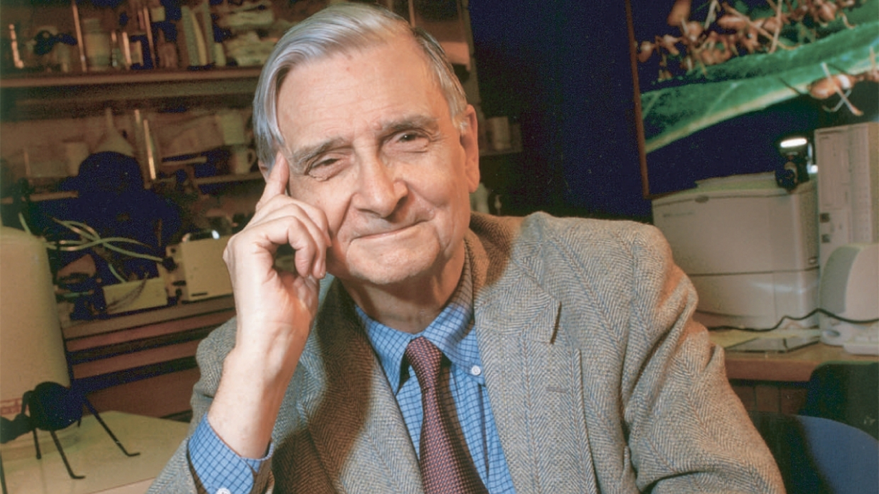 Edward O. Wilson, o pai da biodiversidade, morre aos 92 anos