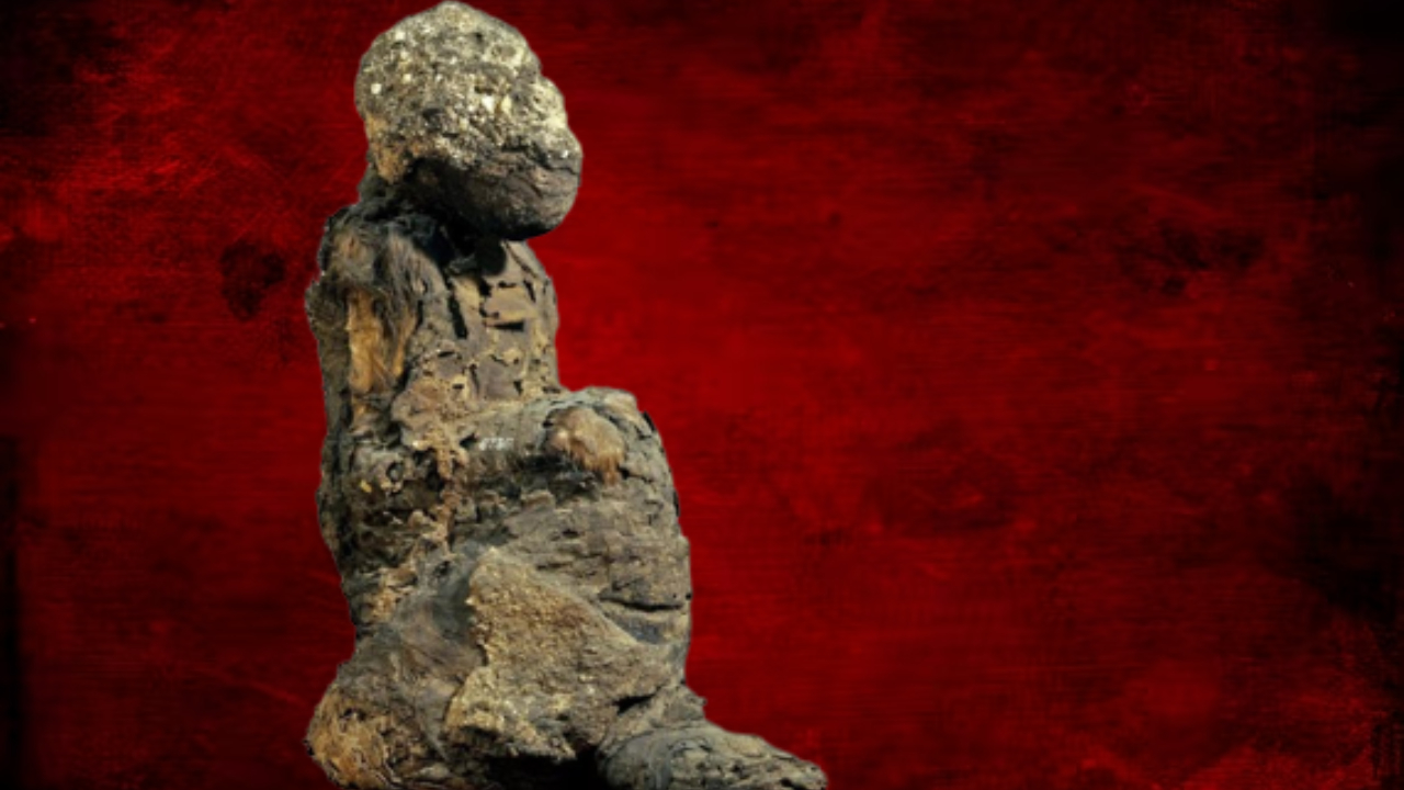 O mistério das múmias de babuínos do Egito Antigo