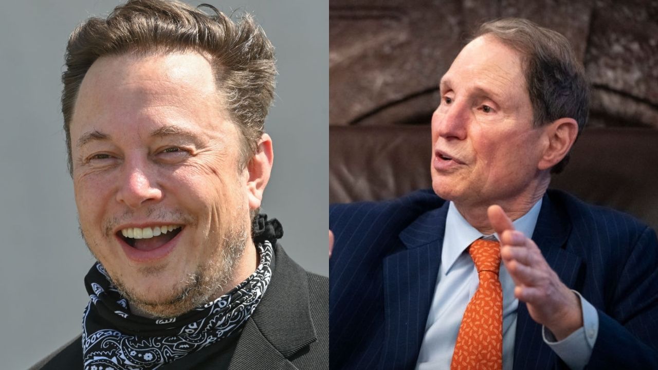 Elon Musk faz piada sexual com senador que defendeu taxação de grandes fortunas