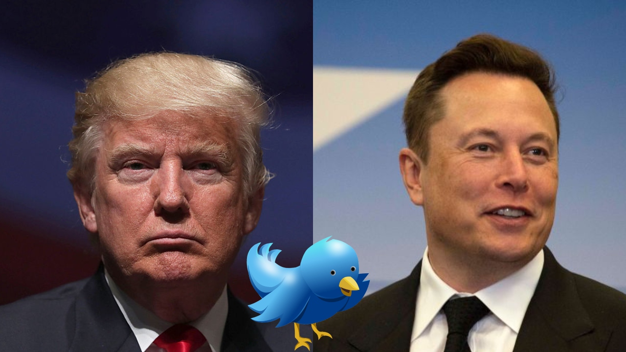 Banido prementemente do Twitter, Trump se manifesta após Elon Musk comprar rede social
