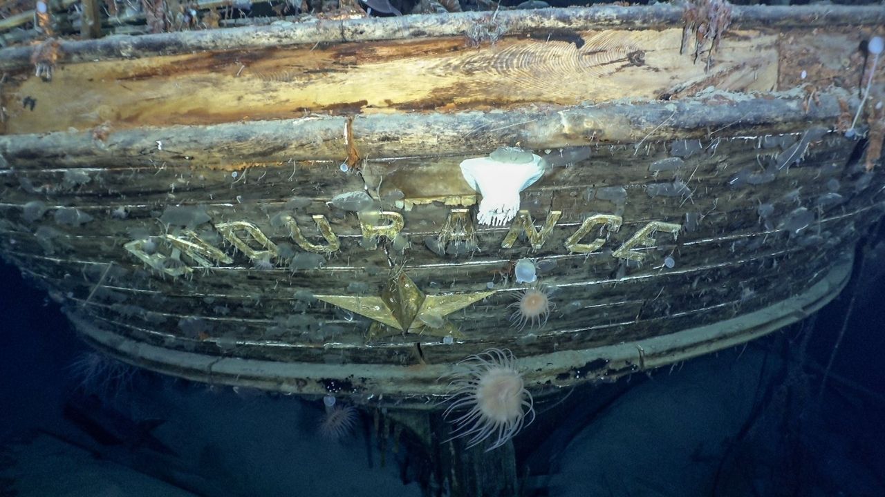 Biólogo identifica criaturas marinhas no navio Endurance, revelado mais de 100 anos depois