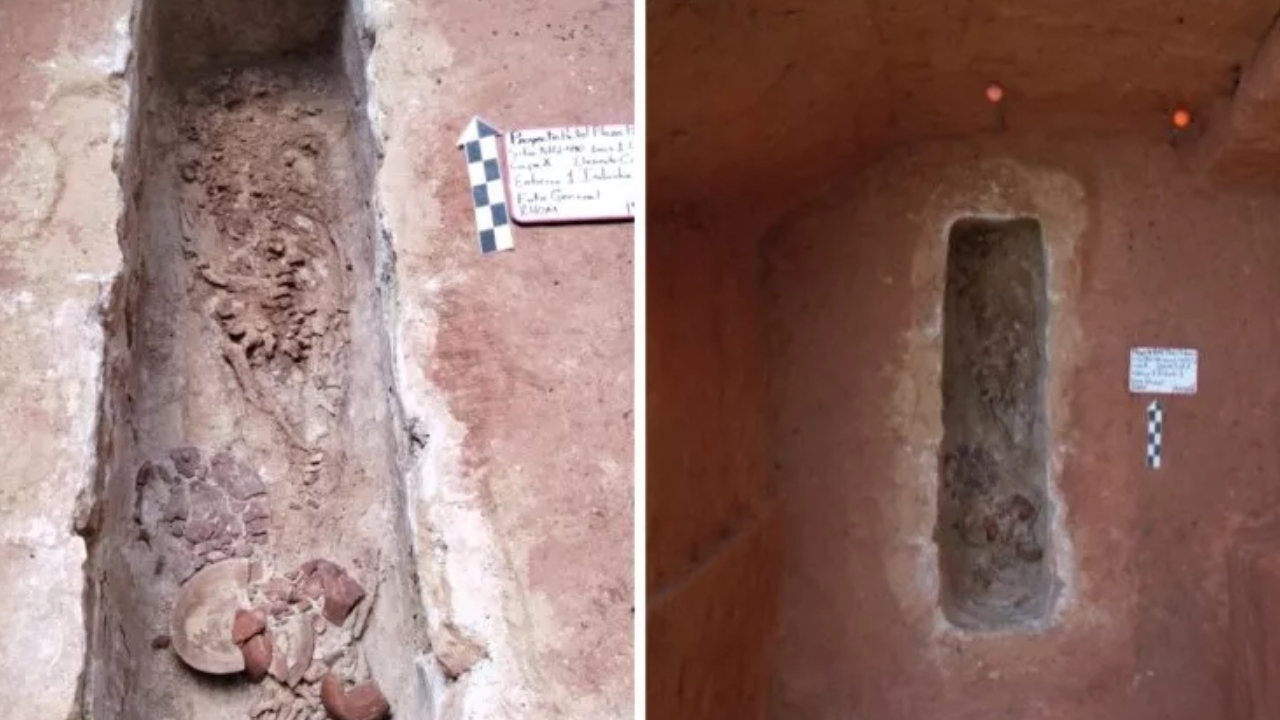 Cemitério maia com vestígios históricos é descoberto próximo a linha ferroviária no México