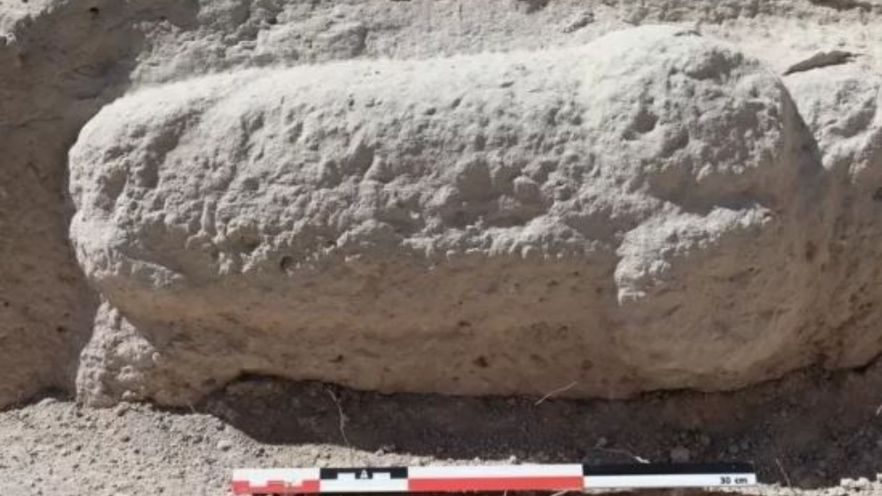 Escultura de pênis de 45 cm é encontrada na Espanha: ‘Extraordinariamente grande’