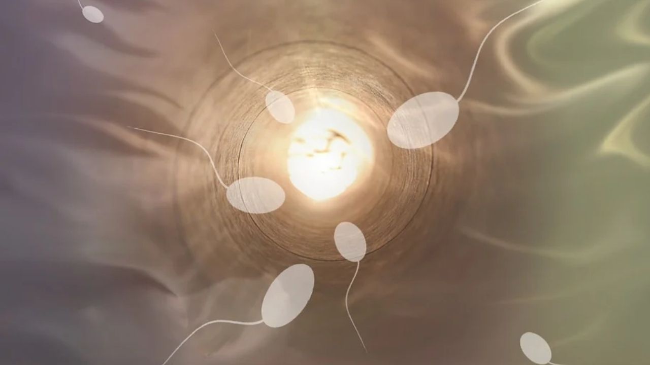 Estudo relaciona qualidade do esperma com poluição do ar