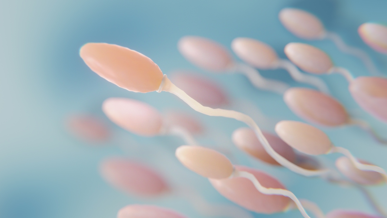 Como espermatozoides violam a terceira lei de Newton?
