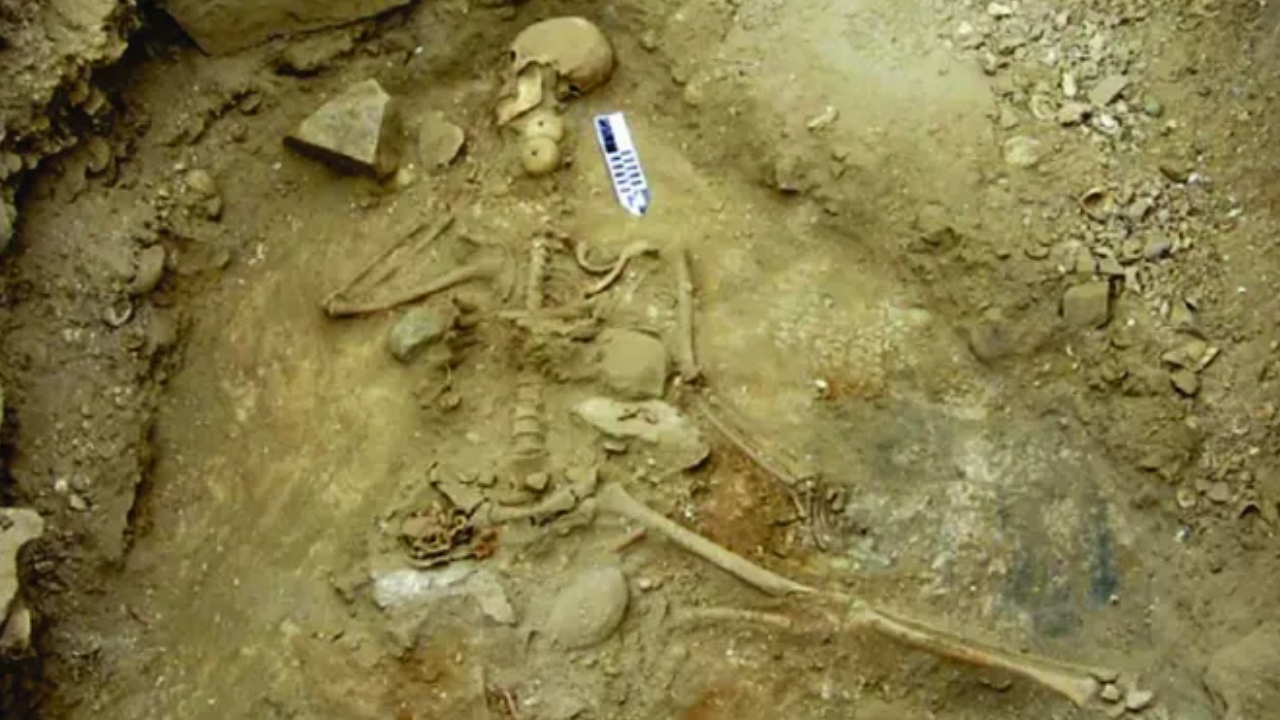 Técnicas forenses confirmam que pescador neolítico morreu por afogamento