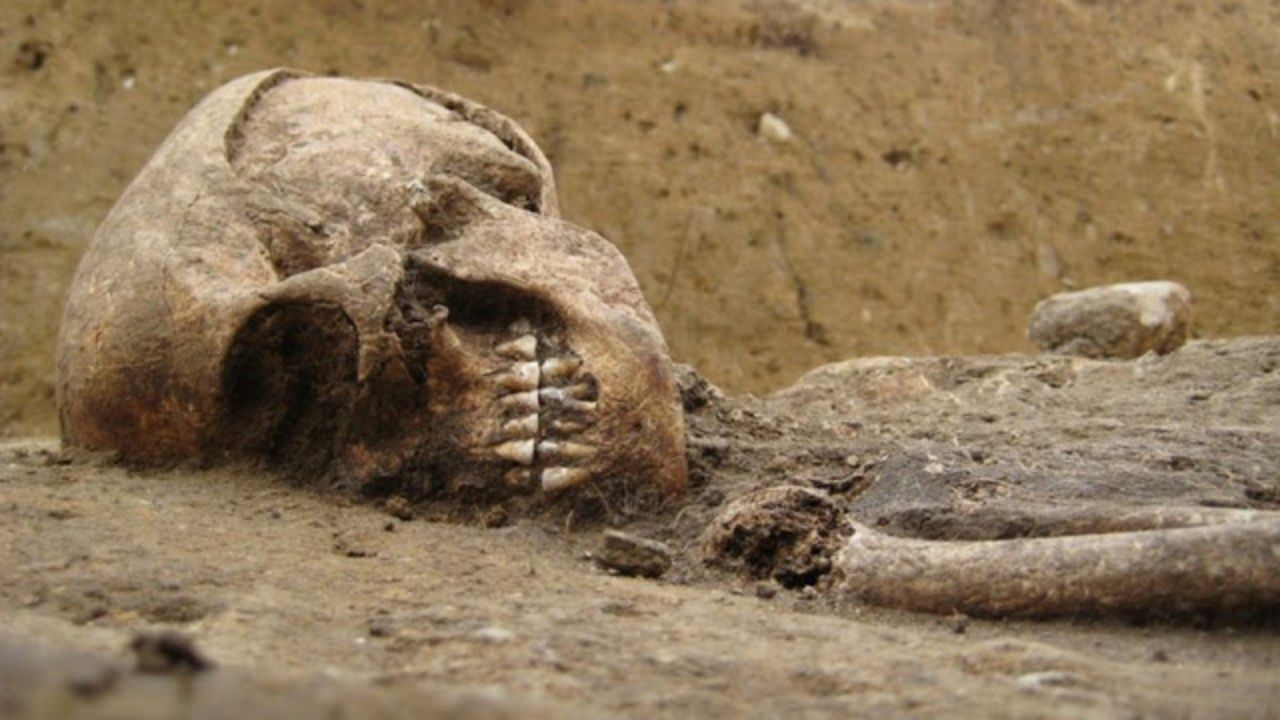 Senhora de Bietikow: O esqueleto cujos dentes chocaram os cientistas