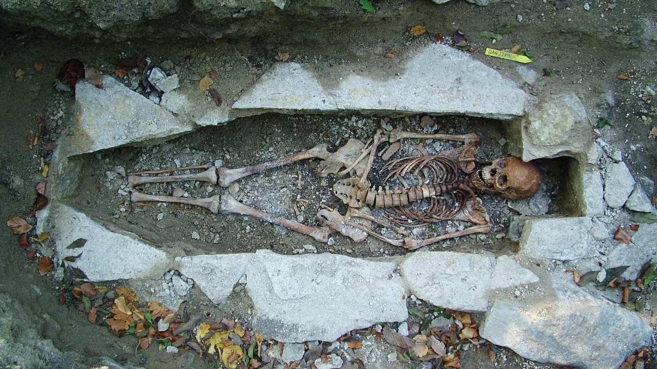 Maior sequenciamento de DNA viking revela novidades sobre os guerreiros