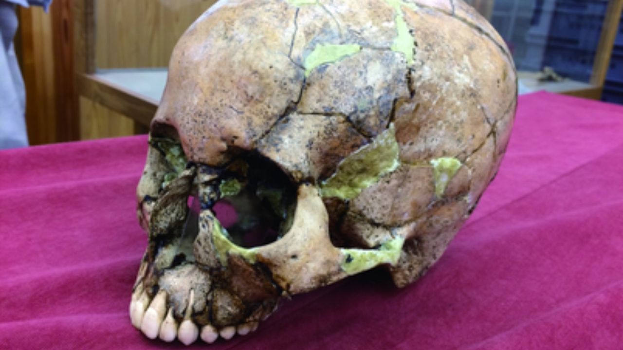 Estudo descobre uma terceira população ancestral pré-japonesa