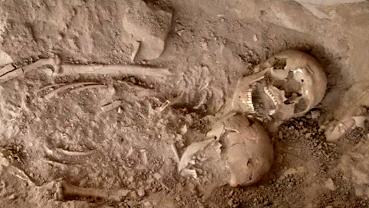 Conchinha de 3 mil anos: esqueletos encontrados em Israel instigam pesquisadores