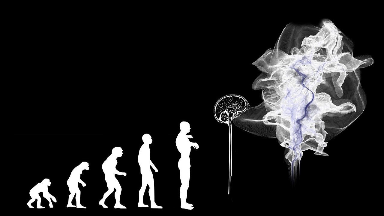 A inteligência foi um fator determinante para a evolução humana