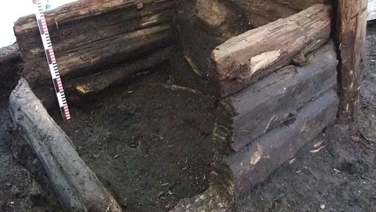 Excrementos encontrados em ‘banheiros’ históricos revelam mudanças alimentares desde o século 15