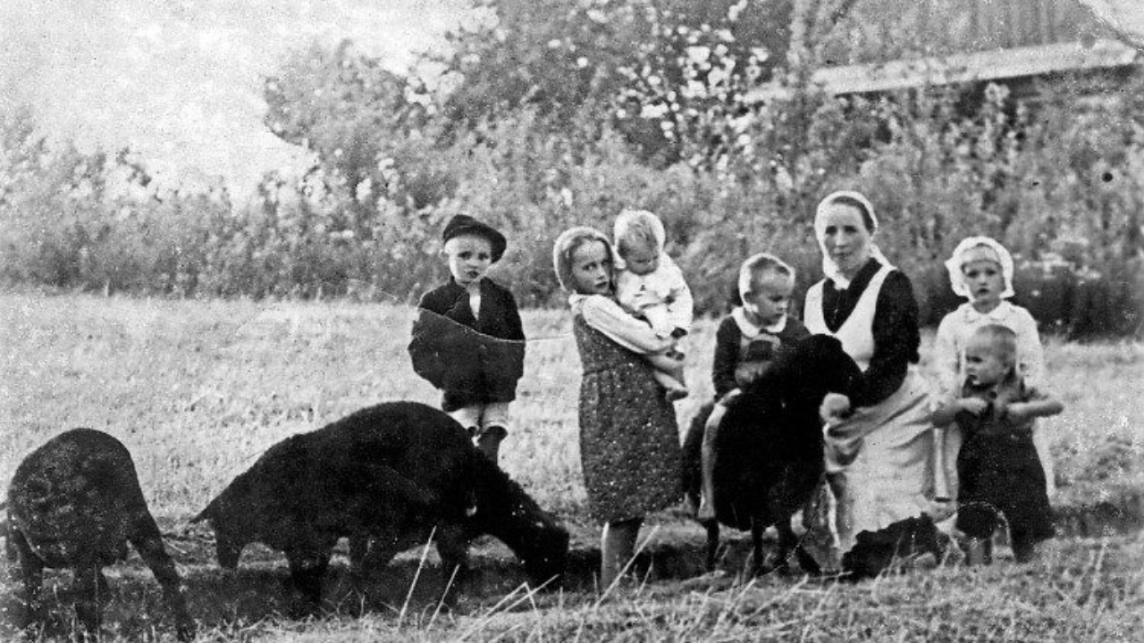 Família Ulma, exterminada por nazistas, será beatificada em 10 de setembro