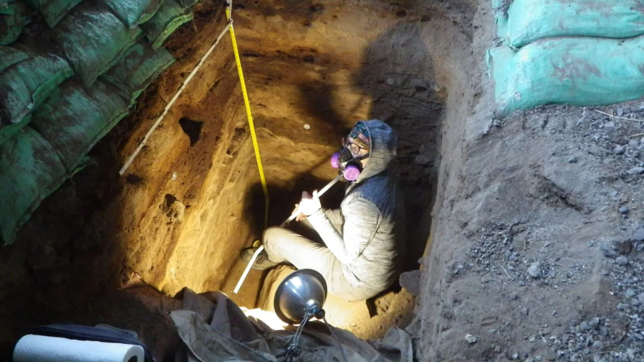 Fezes humanas revelam atividade de homo sapiens na América do Norte há 12 mil anos