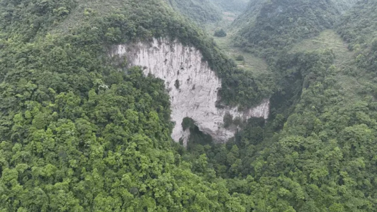Maior descoberta do mês: a floresta primitiva encontrada em ‘buraco’, na China