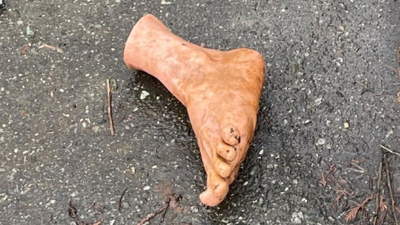 Em estrada do Canadá, pé de manequim causa pânico em motorista
