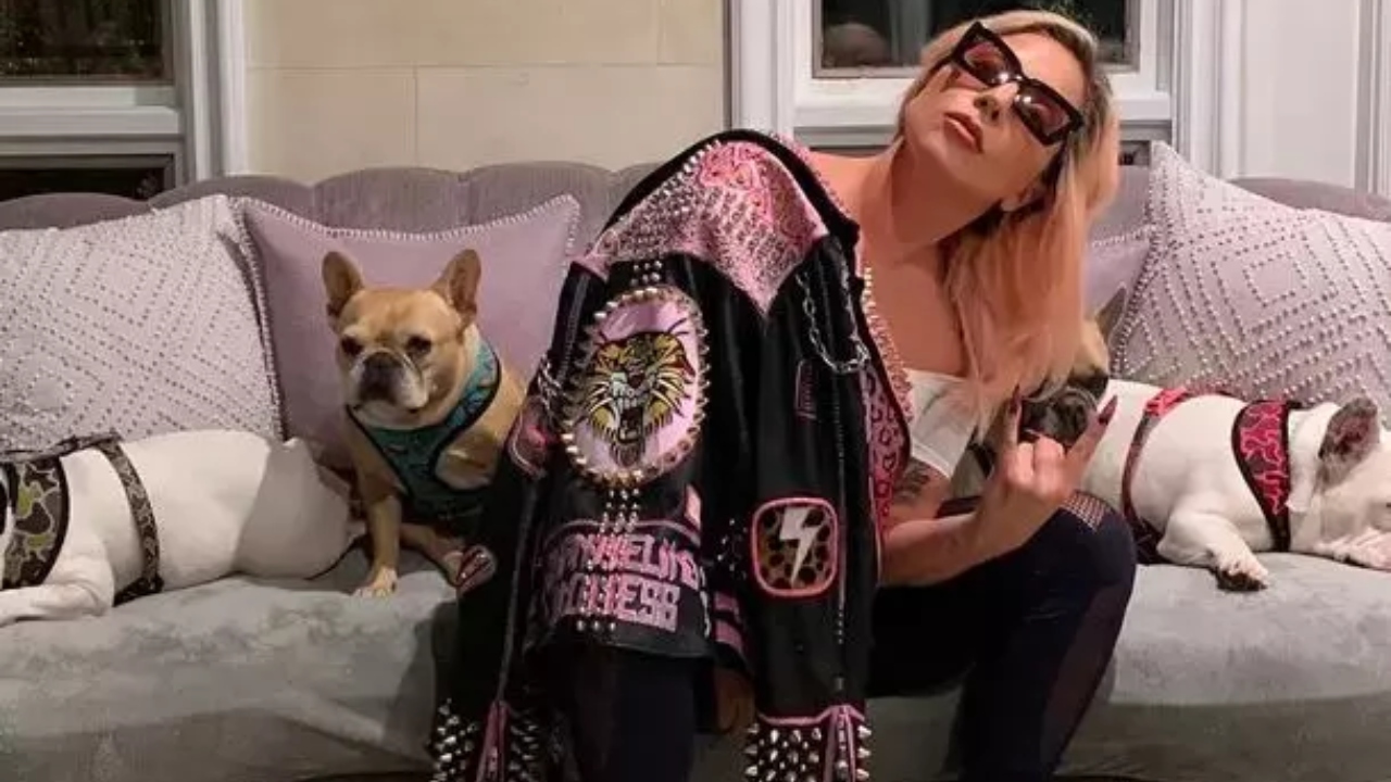Cachorros de Lady Gaga são roubados e reaparecem apenas dois dias depois