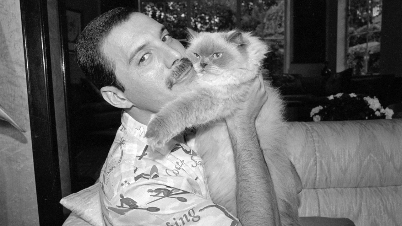 Freddie Mercury sabia da gravidade de seu caso?