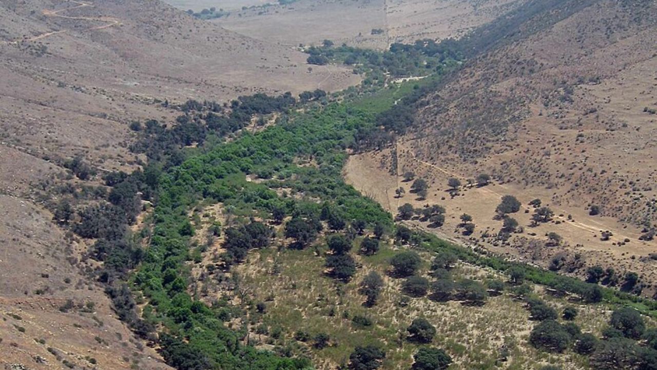 Governo mexicano descobre as identidades de 9 imigrantes encontrados mortos