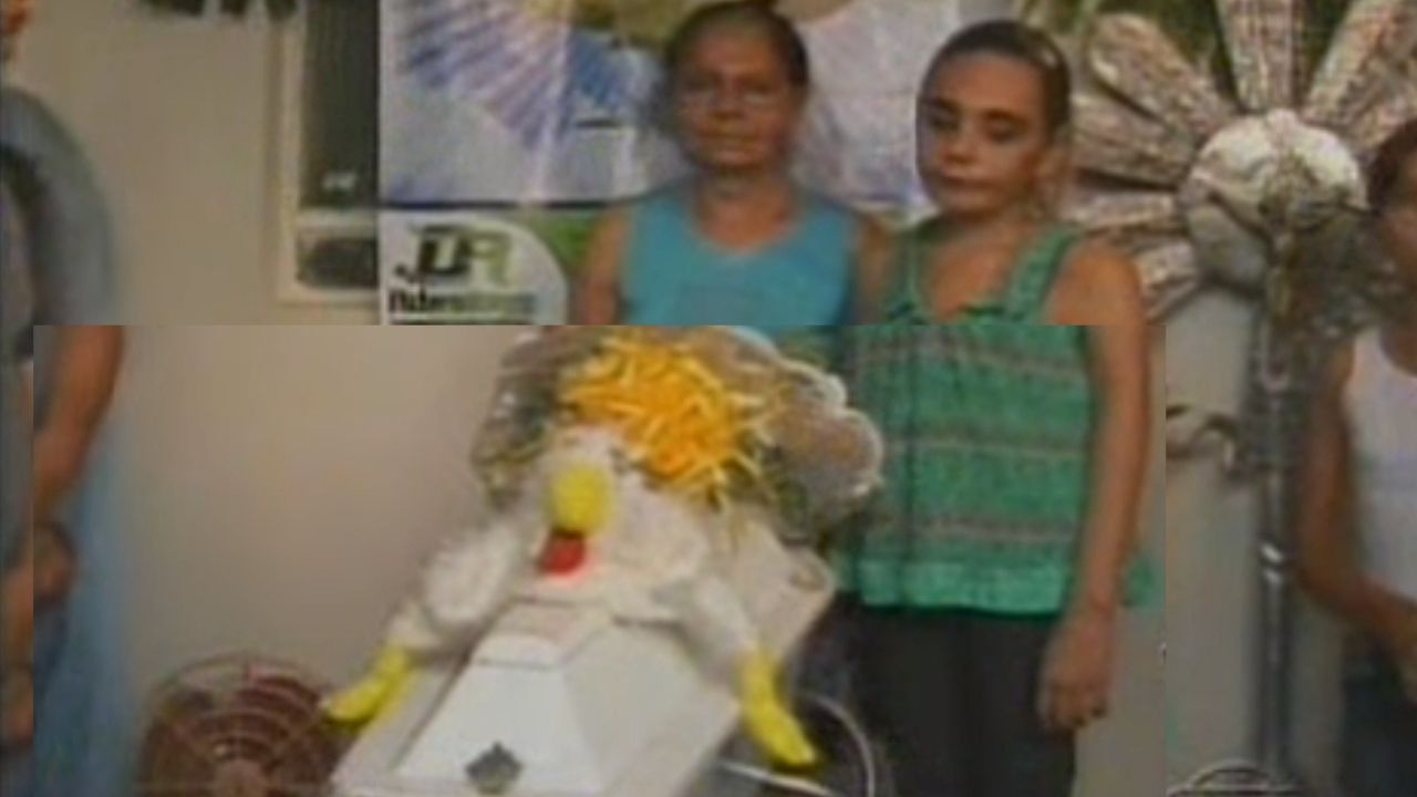 Há 10 anos, roubo e enterro da galinha Rafinha comoviam 2 mil pessoas