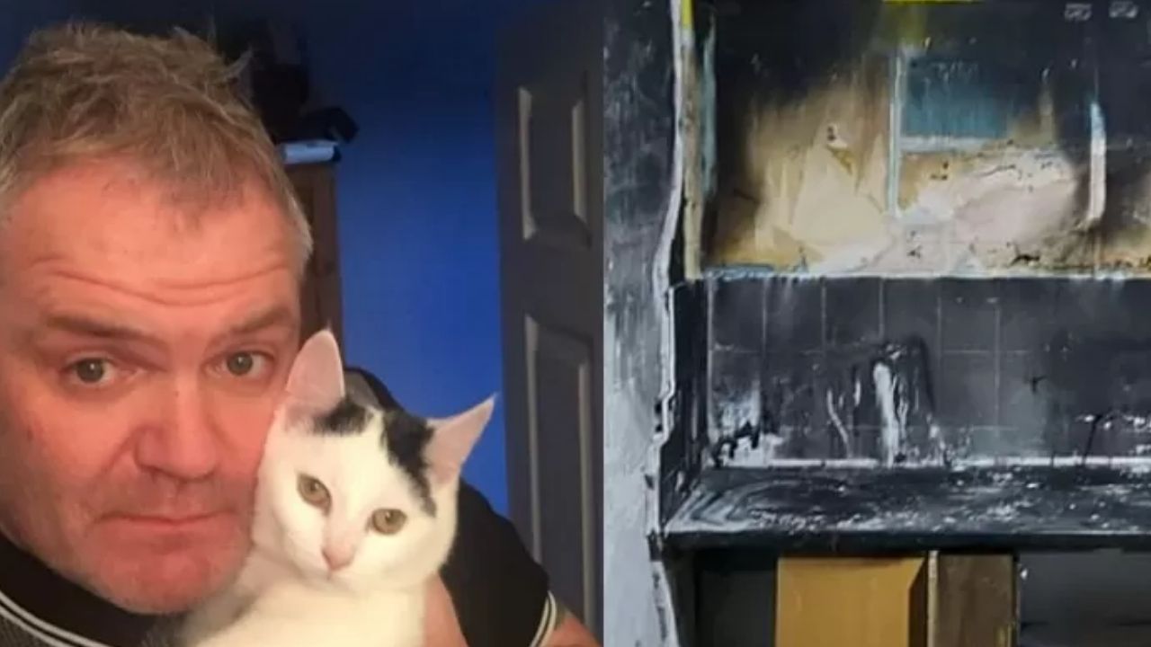 Homem é salvo de incêndio ao ser acordado por sua gata de estimação