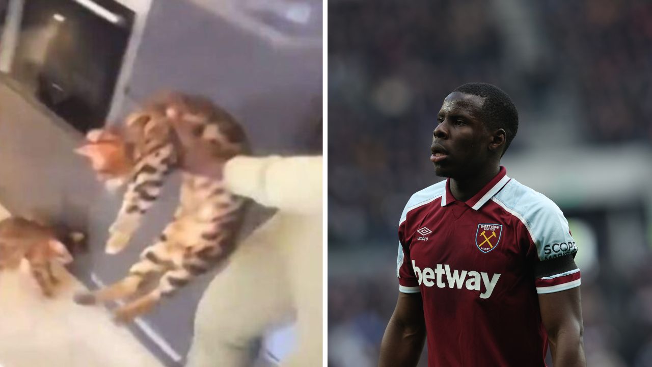 Zagueiro francês Kurt Zouma é condenado por agredir gato