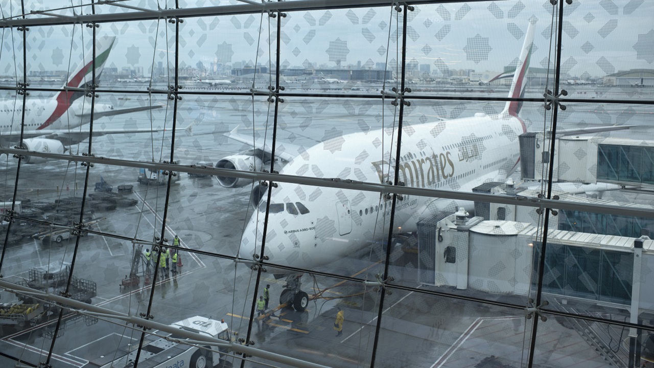Urso escapa de compartimento de cargas e causa confusão em aeroporto de Dubai