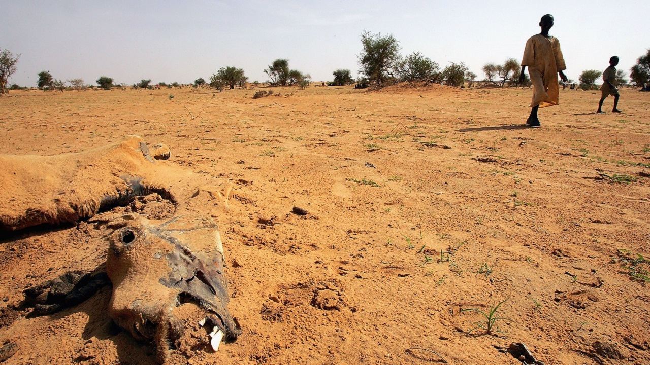Ao tentarem cruzar deserto de Chade, 27 migrantes morreram de sede