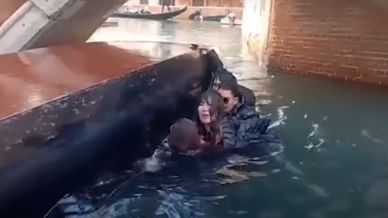 Vídeo: Turistas caem no canal de Veneza após ignorarem orientações do guia
