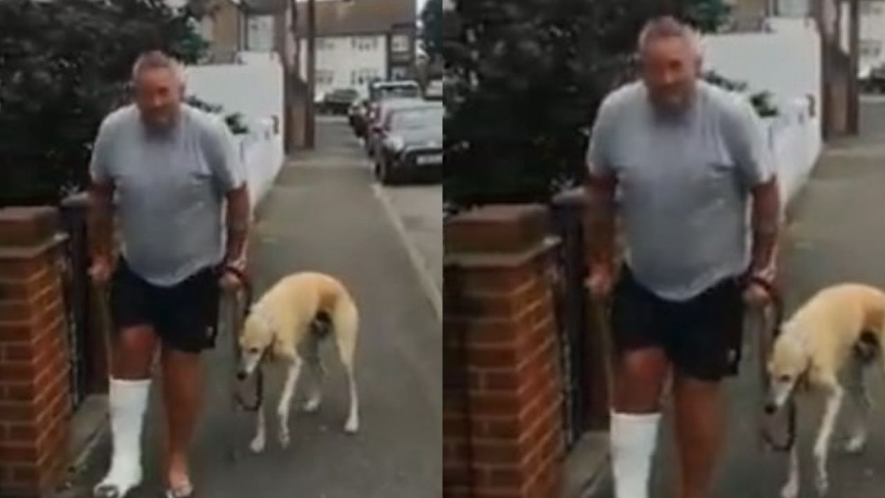 Homem gasta RS 2 mil reais no veterinário e descobre que seu cão estava o imitando