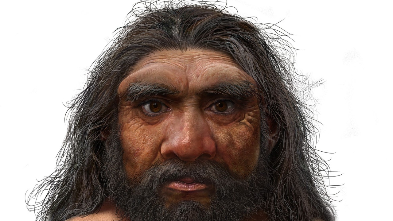 Pesquisadores da China anunciam descoberta de espécie desconhecida de ancestral humano
