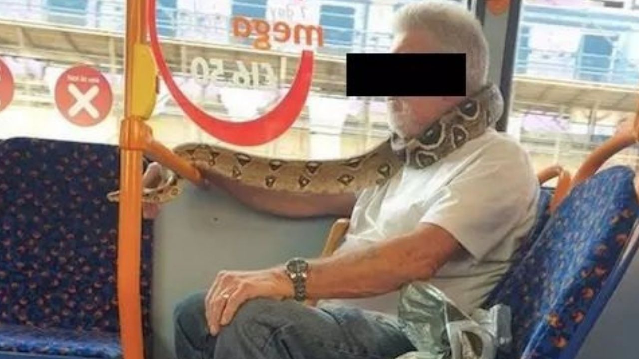 Inglaterra: Homem usa cobra como máscara de proteção no transporte público
