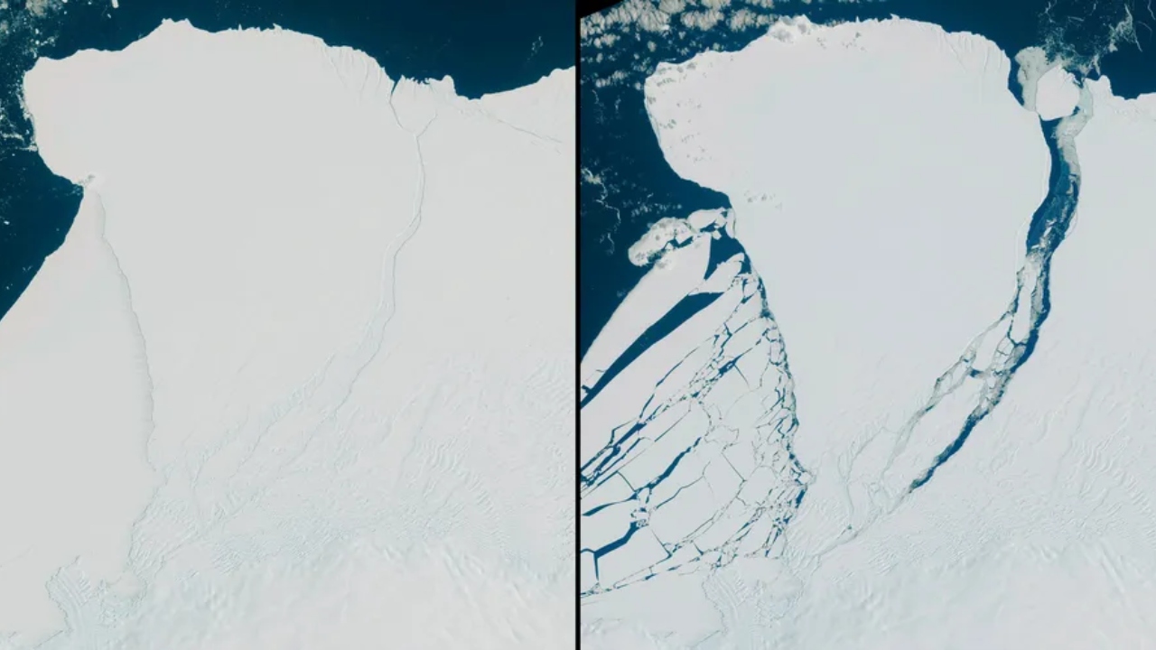 Iceberg do tamanho da cidade de São Paulo se desprende na Antártica