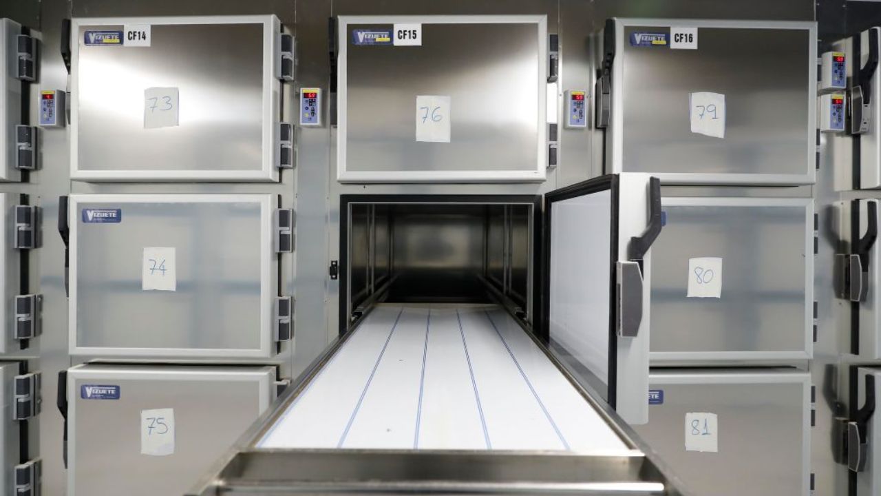 Após supostamente receber torso humano, empresa de decomposição de resíduos processa cliente