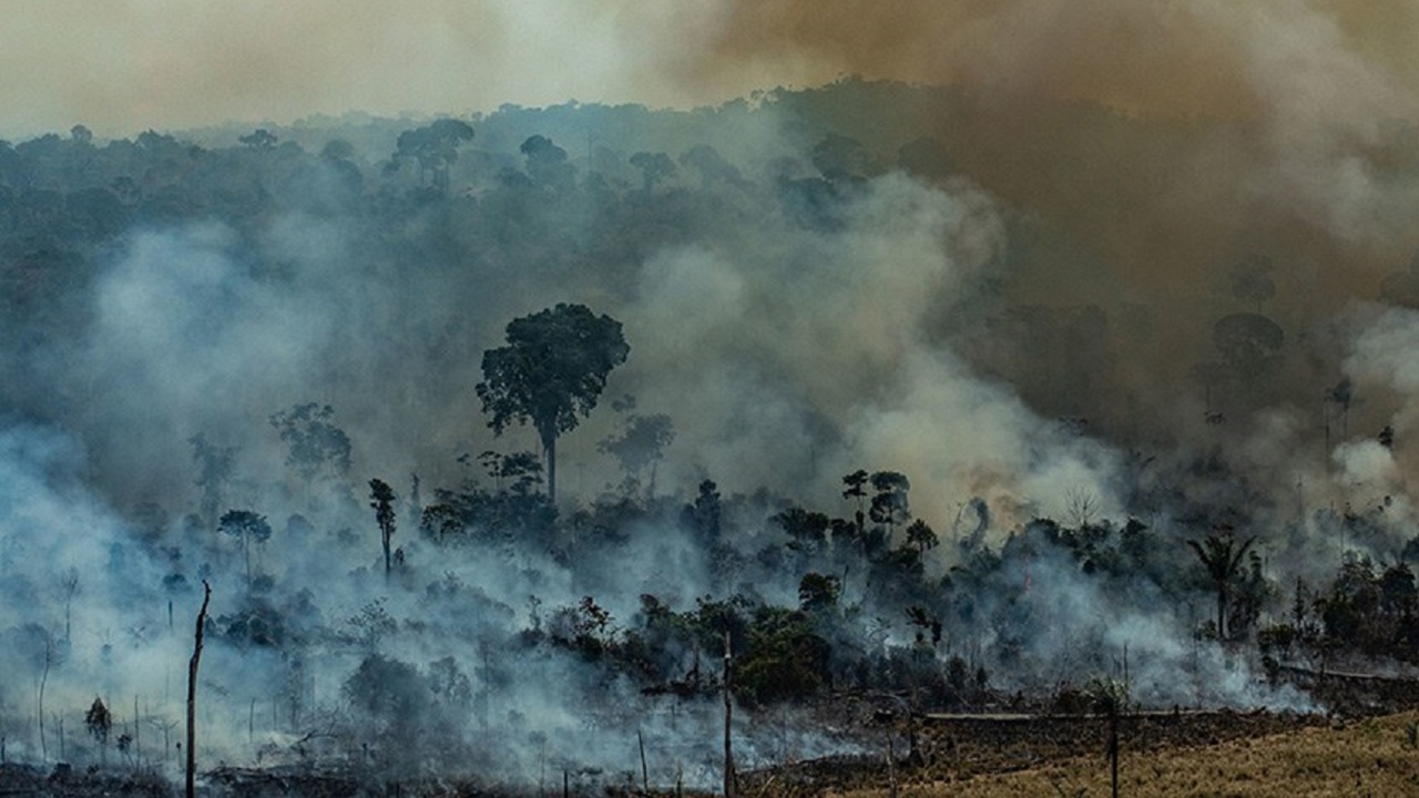 Estudo aponta que 40% da Amazônia já pode se transformar em savana