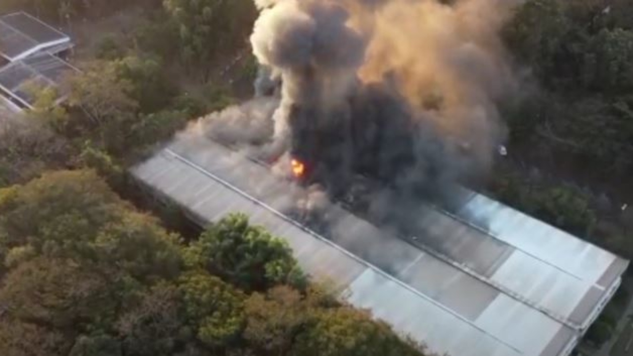Amostra de sapo ameaçado de extinção é destruído em incêndio na Unesp