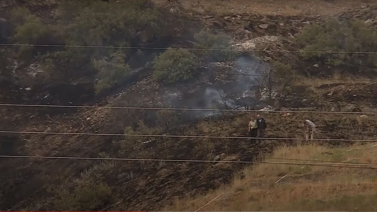 Homem inicia incêndio florestal nos EUA após tentar queimar uma aranha