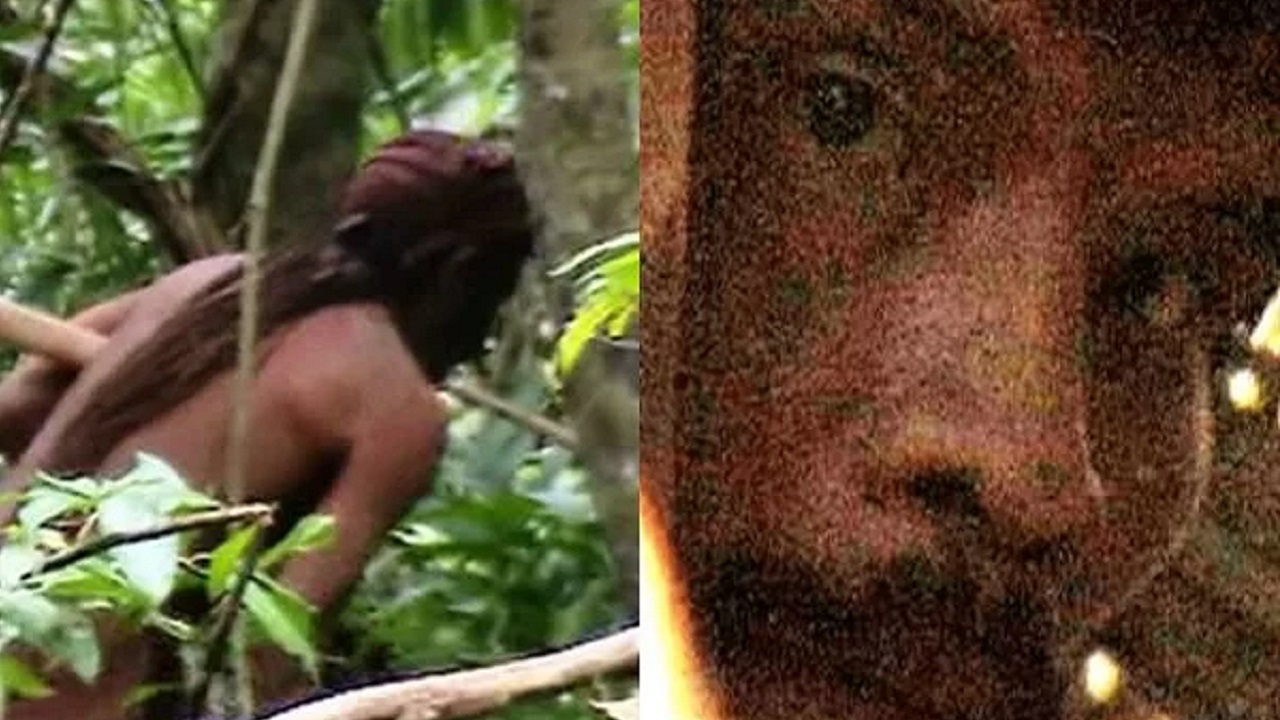 Sobrevivente de um genocídio: A história do ‘Índio do Buraco’