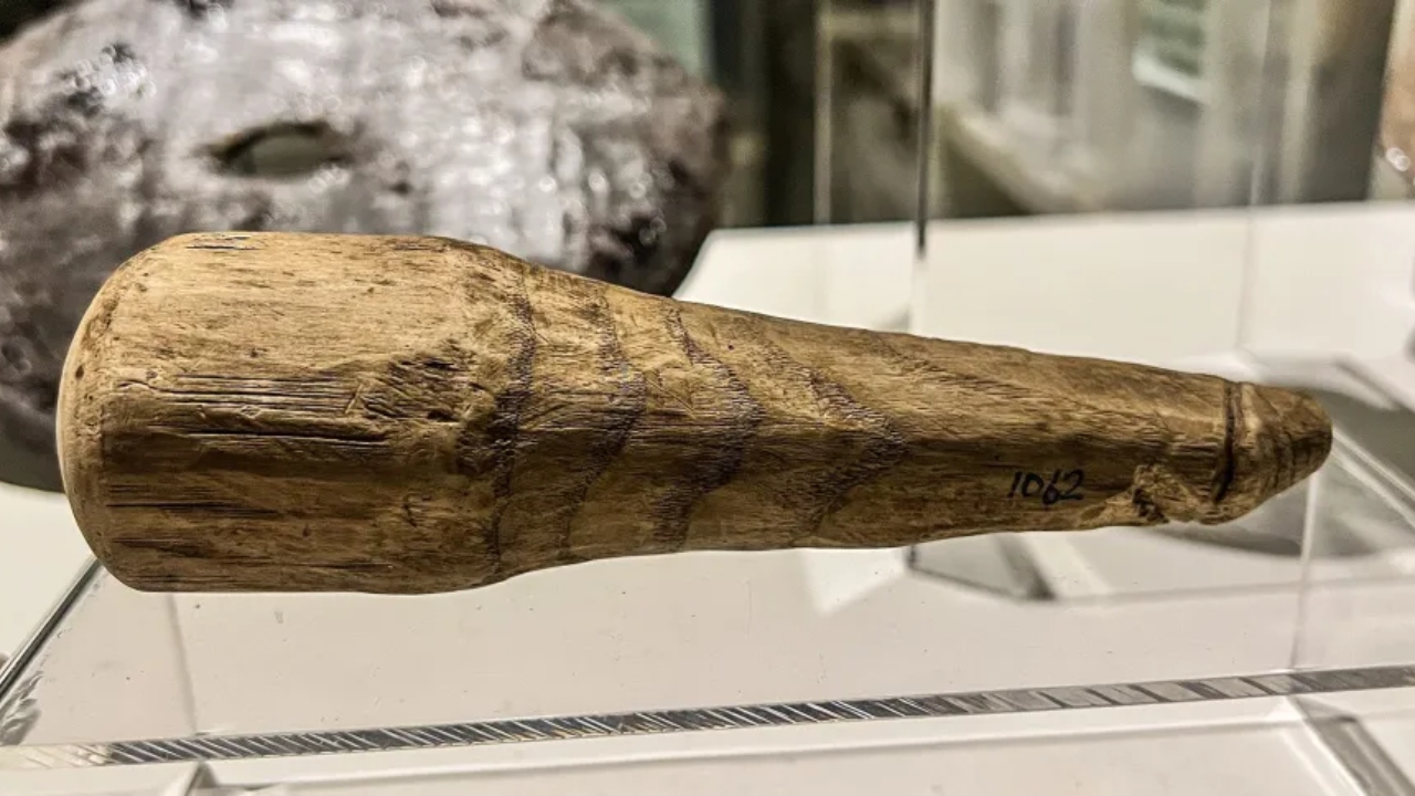 O objeto de quase 2 mil anos que sugere uso de brinquedos sexuais pelos romanos