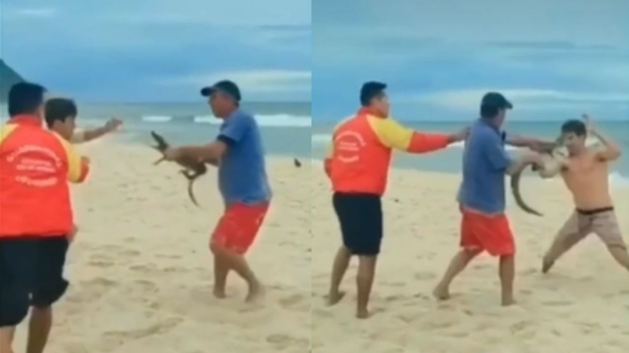Banhista usa jacaré como ‘arma’ para ameaçar pessoas em praia no Rio de Janeiro