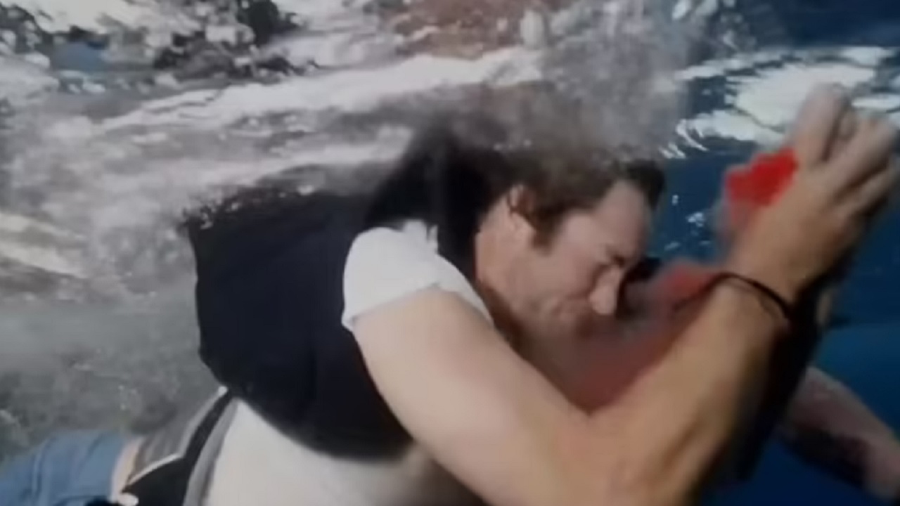 “Sabia que havia chance”: Integrante de Jackass tem mão mordida por tubarão em filmagem