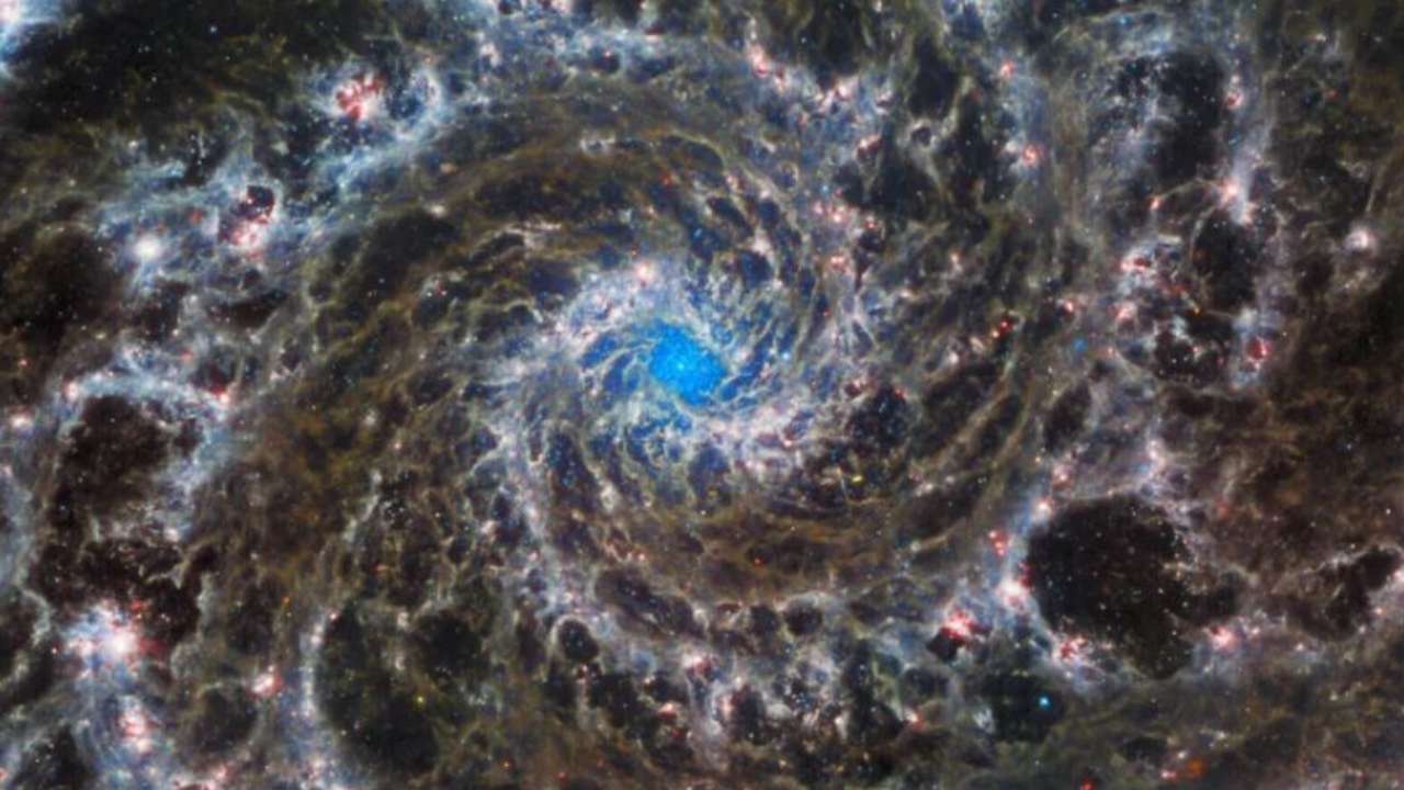 Incríveis novas imagens de James Webb podem revelar como as estrelas se formam
