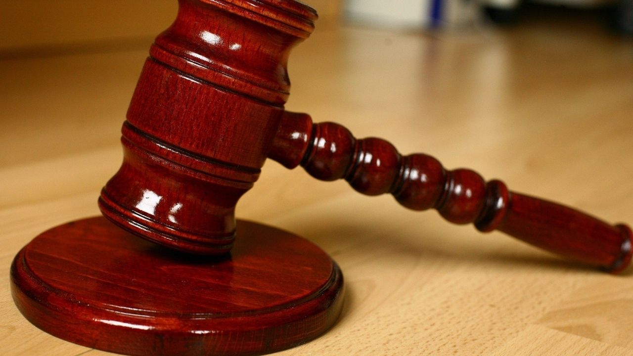 Tribunal vietnamita condena homem a 13 anos de prisão por tráfico de animais selvagens