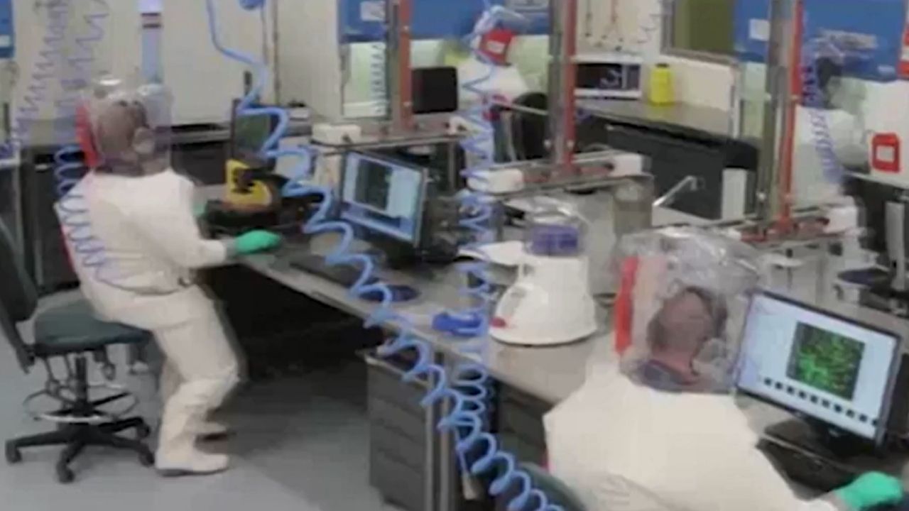 Vídeo mostra suposto estudo de morcegos em laboratório chinês