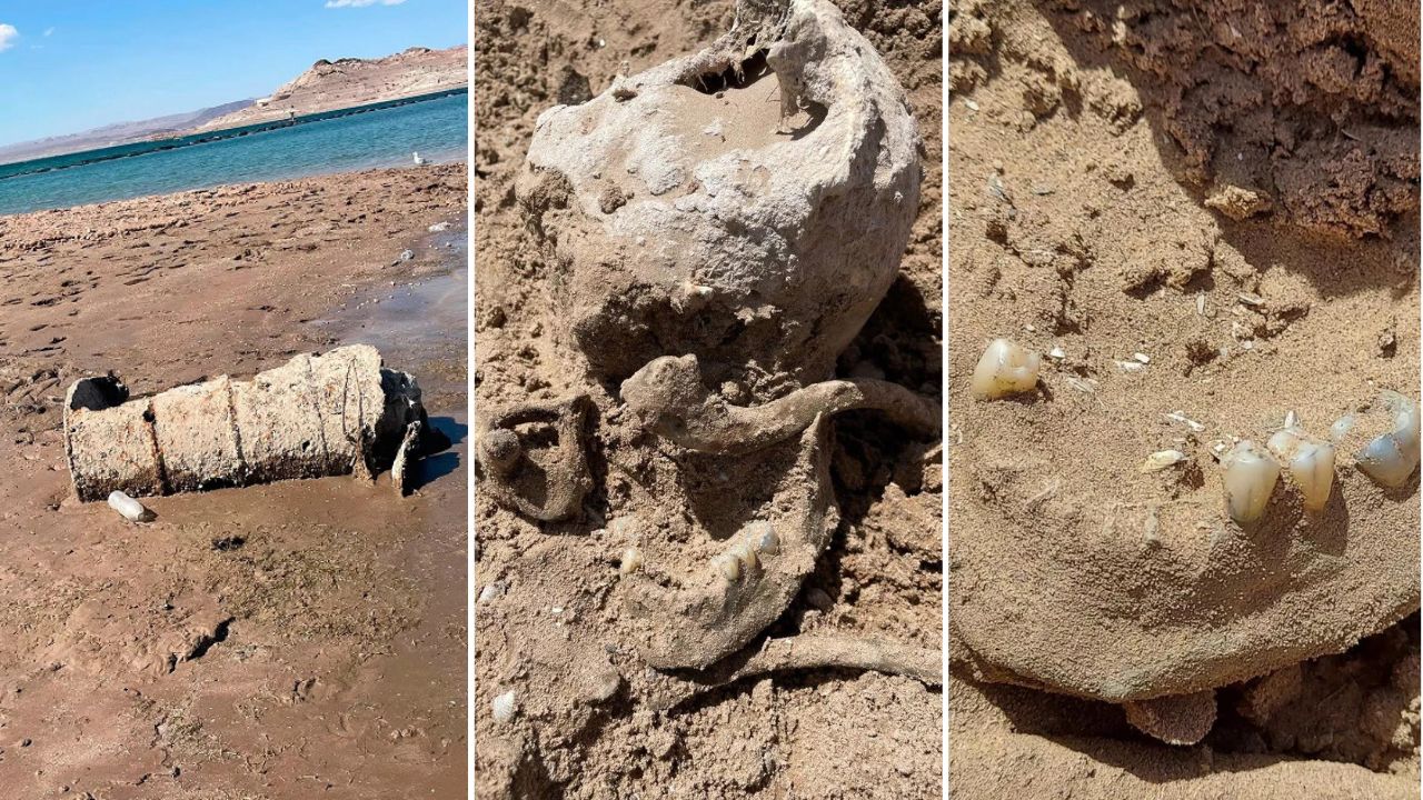Após descoberta de barril com cadáver, os outros restos mortais encontrados em lago de Nevada