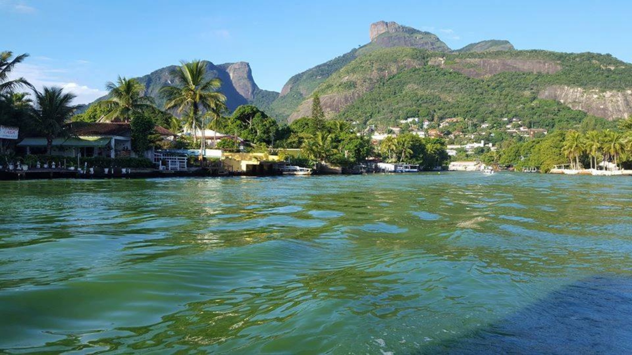Na Lagoa da Tijuca, cemitério de embarcações abandonadas é encontrado