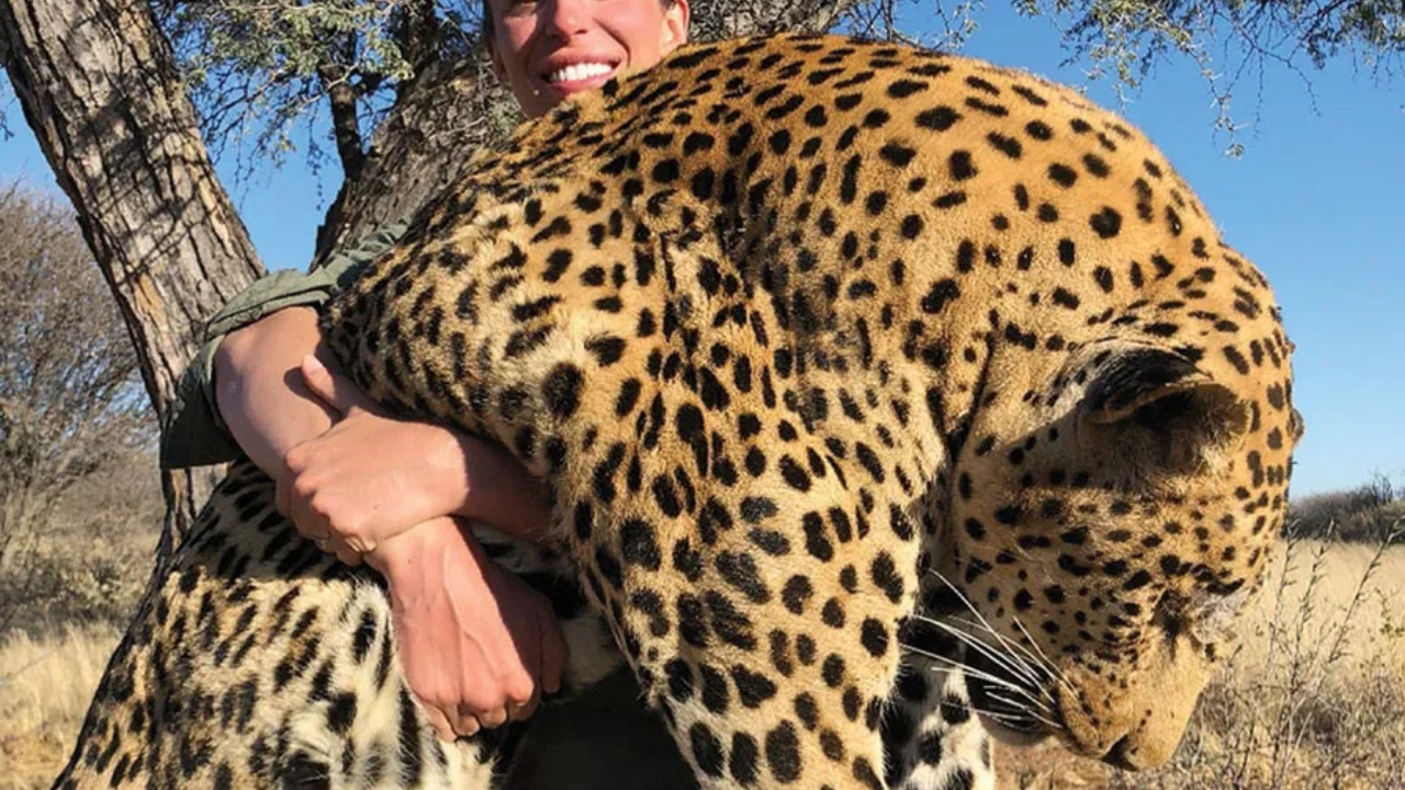 Foto de caçadora com leopardo morto nos braços revolta internautas