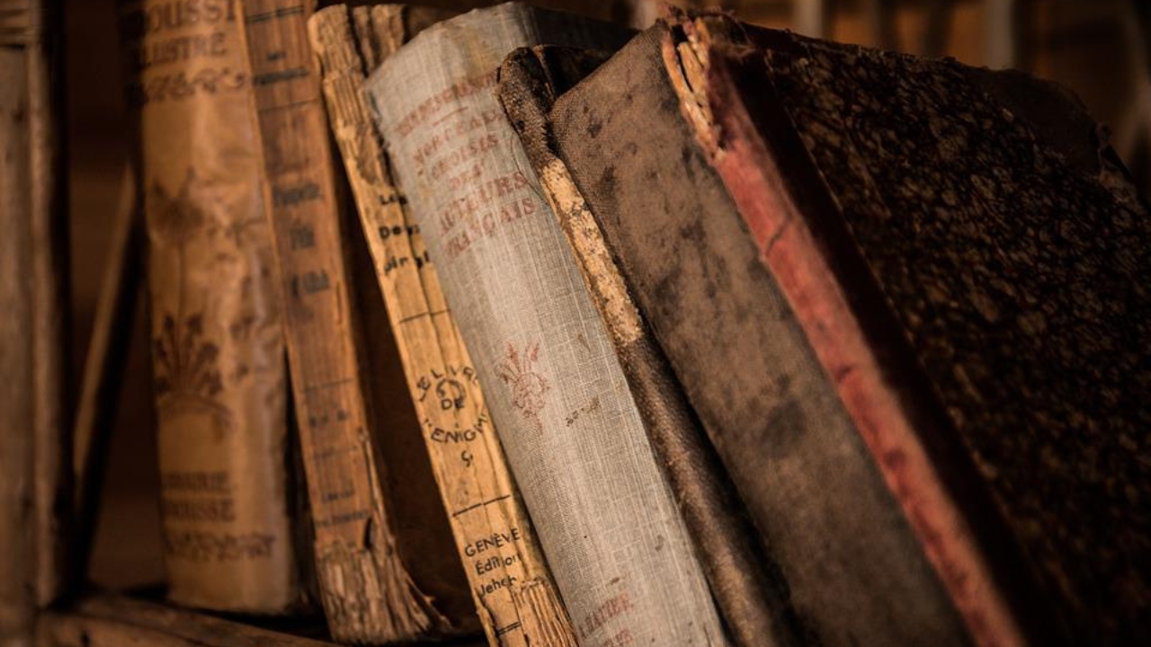 Estudo analisa a história e educação historiográfica contemporânea