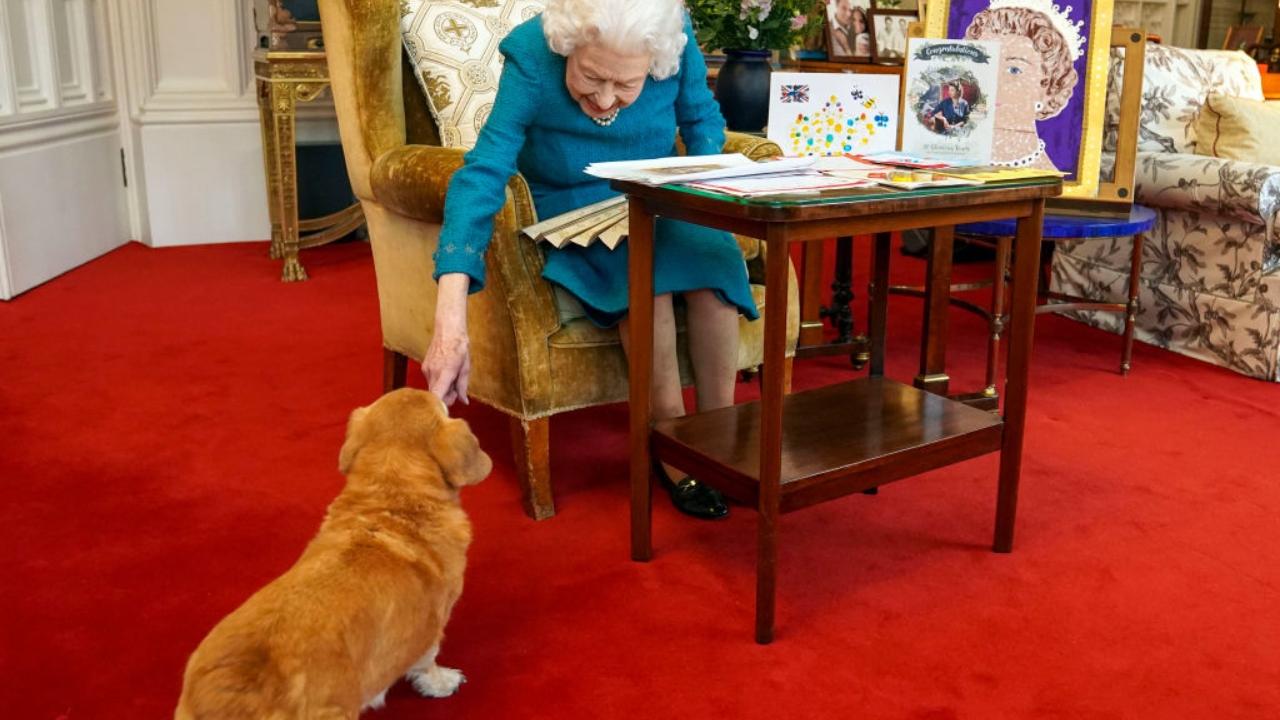 Cachorros da rainha Elizabeth II irão acompanhar passagem do caixão